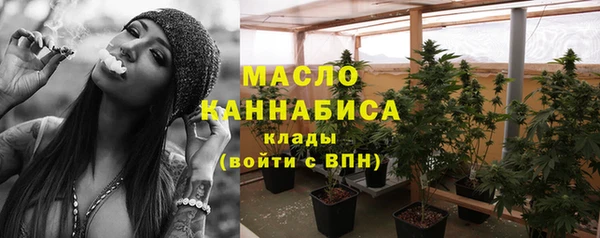 соль ск Козельск