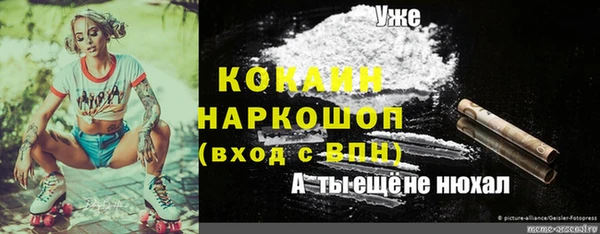 соль ск Козловка