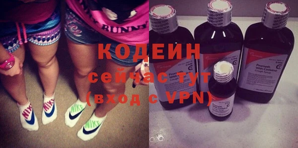 соль ск Козловка