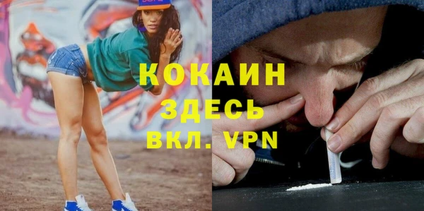 твердый Киреевск