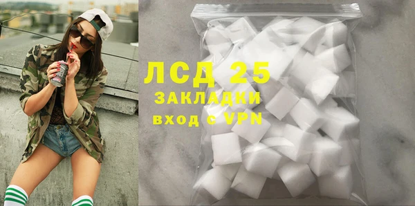 стафф Карпинск