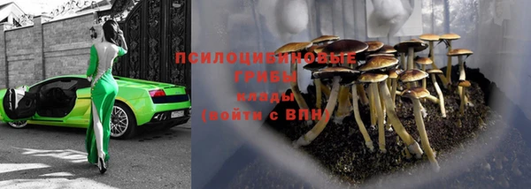 стафф Карпинск