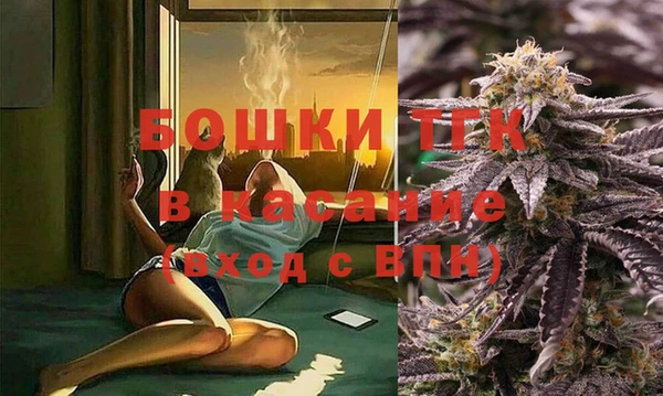 ПСИЛОЦИБИНОВЫЕ ГРИБЫ Каменка