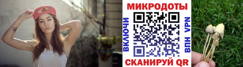 Псилоцибиновые грибы ЛСД Карталы