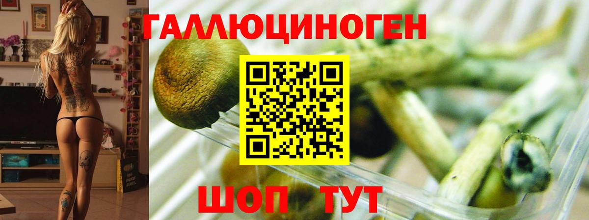 Карталы  Галлюциногенные грибы MAGIC MUSHROOMS  Вход с VPN 