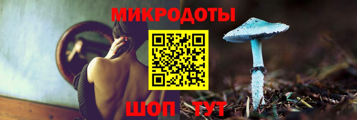 Псилоцибиновые грибы Psilocybine cubensis Карталы