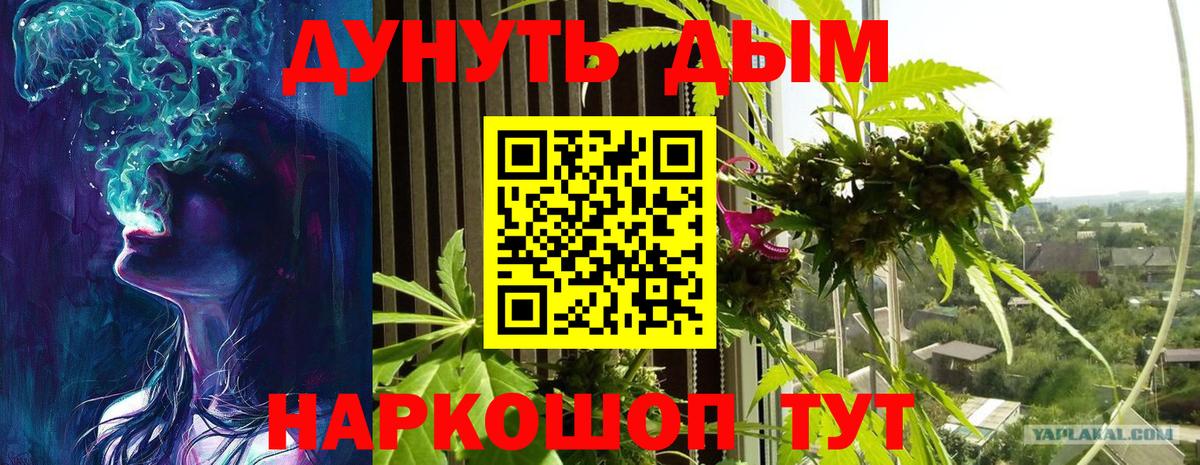 Марихуана план  Вход с VPN  Каннабис план  Карталы  Канабис Bruce Banner  Канабис марихуана 